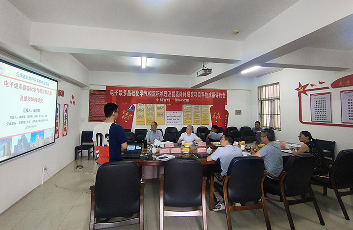 电子级多晶硅化学气相沉积机理及提质降耗研究 anli.jpg